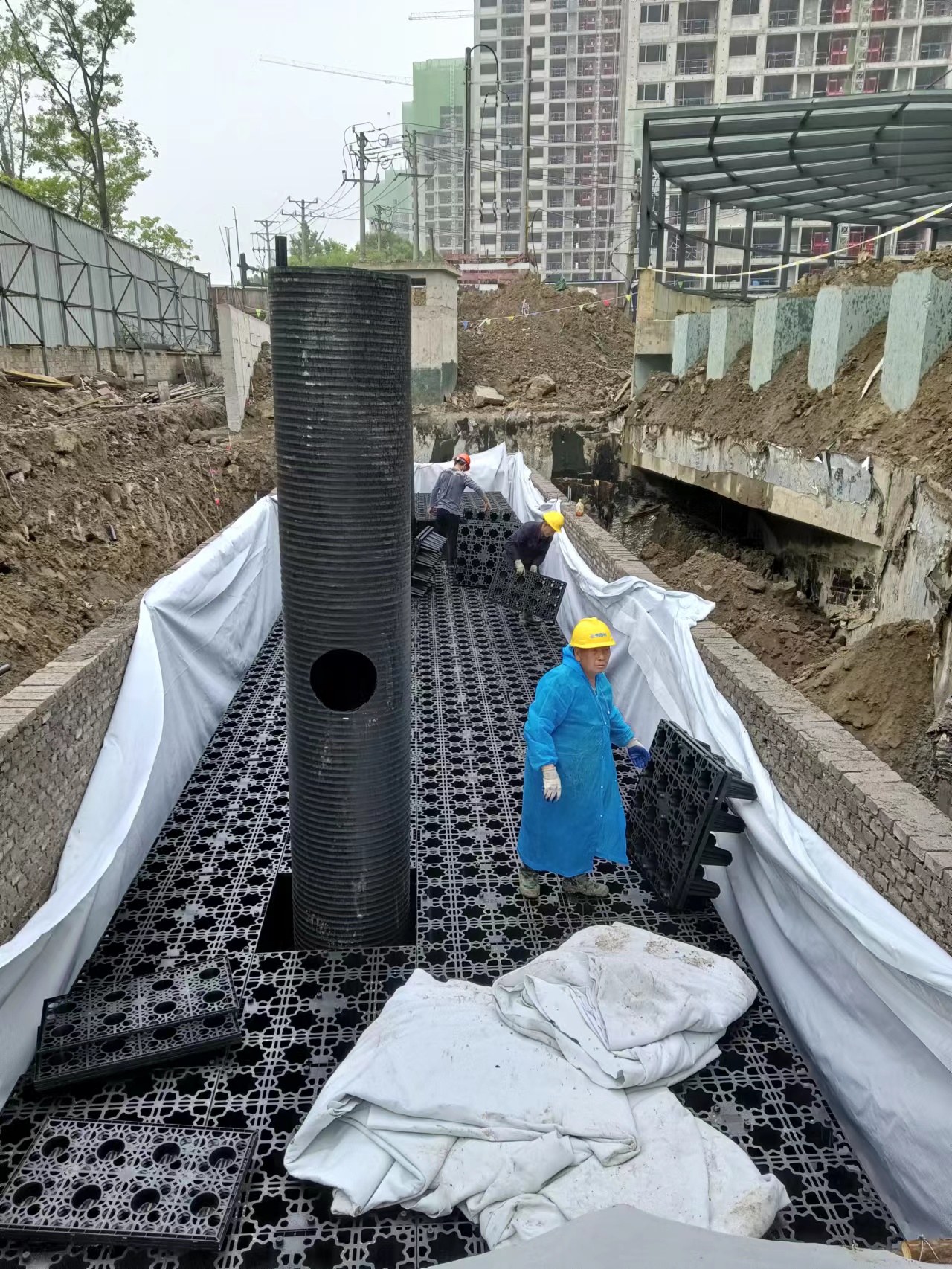 1654581494290882.jpg 6.jpg