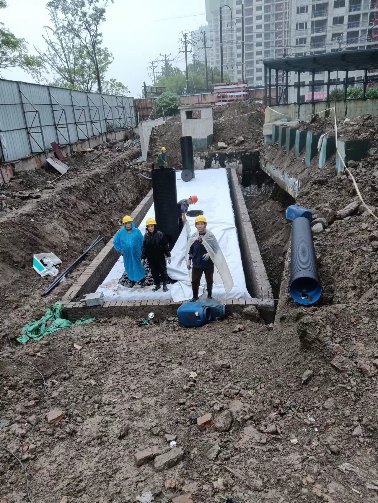 1654581515170367.jpg 8.jpg