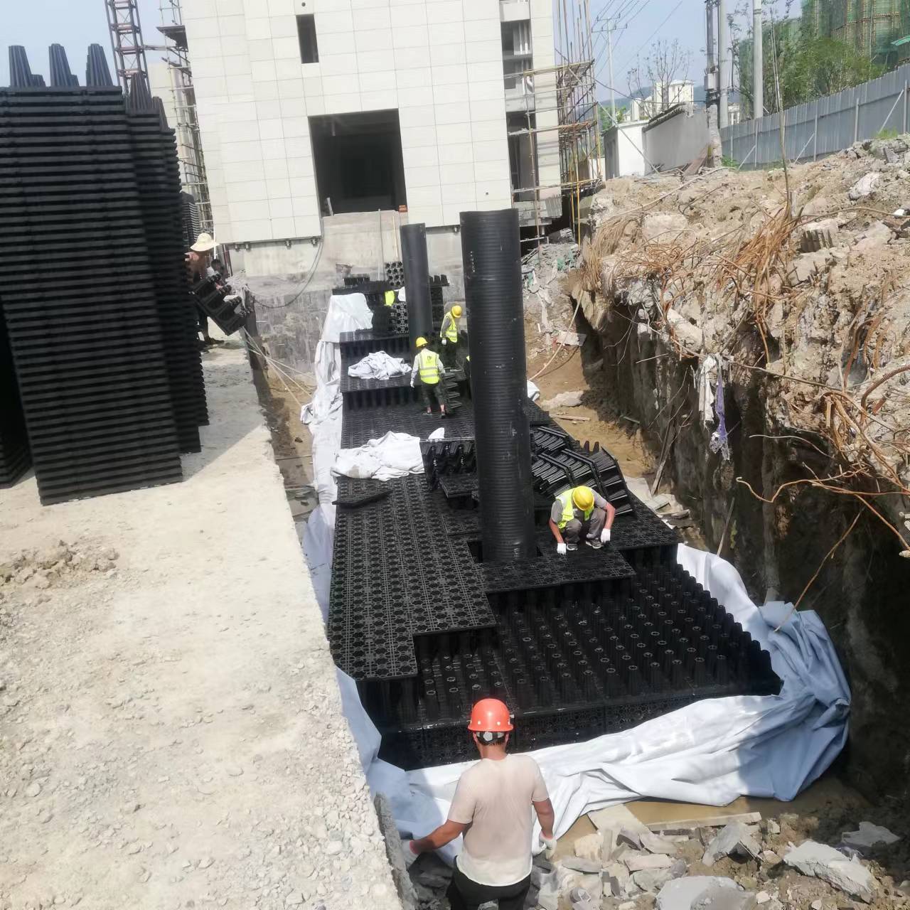 1656985715178287.jpg 2.jpg