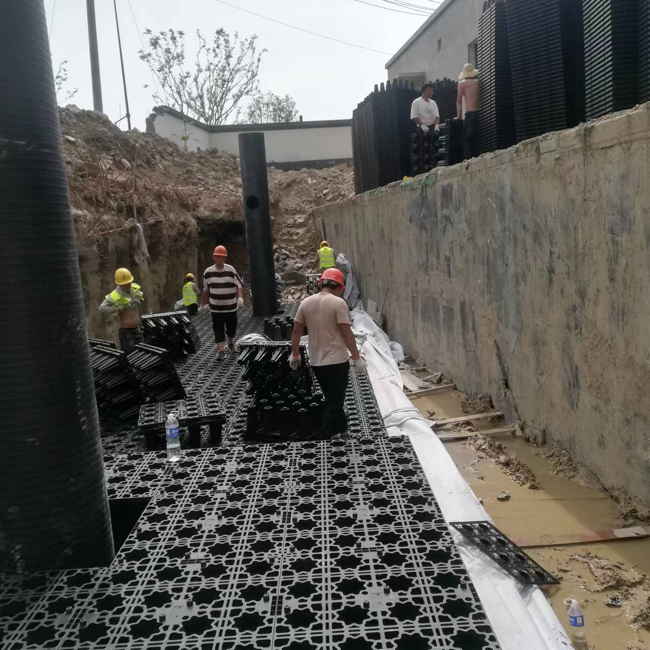 1656985785209184.jpg 3.jpg