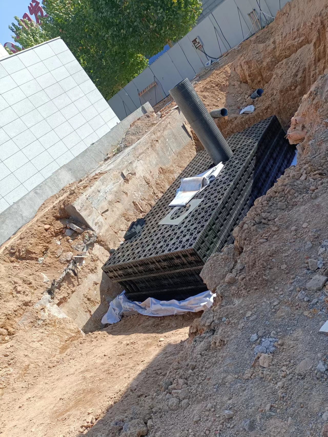 1663829073208341.jpg 3.jpg