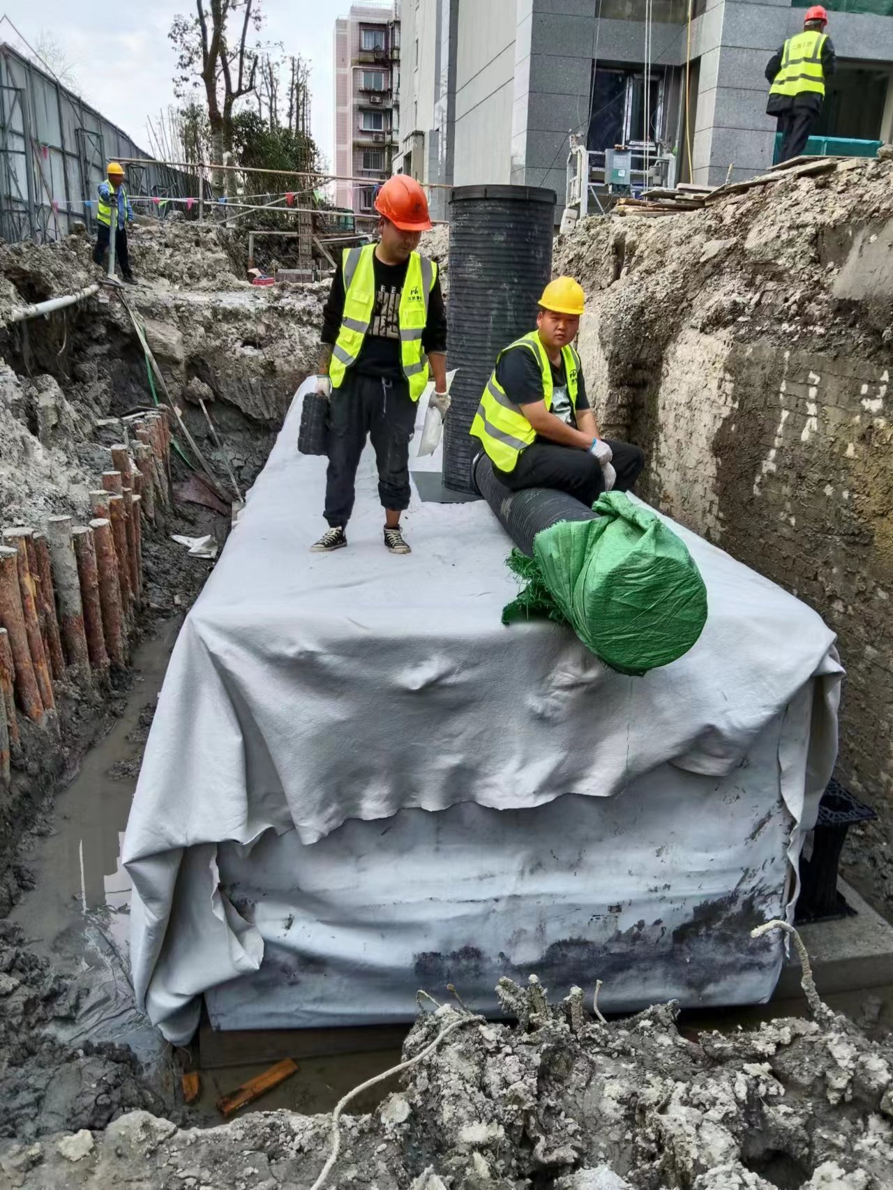 1678258561127685.jpg 5.jpg