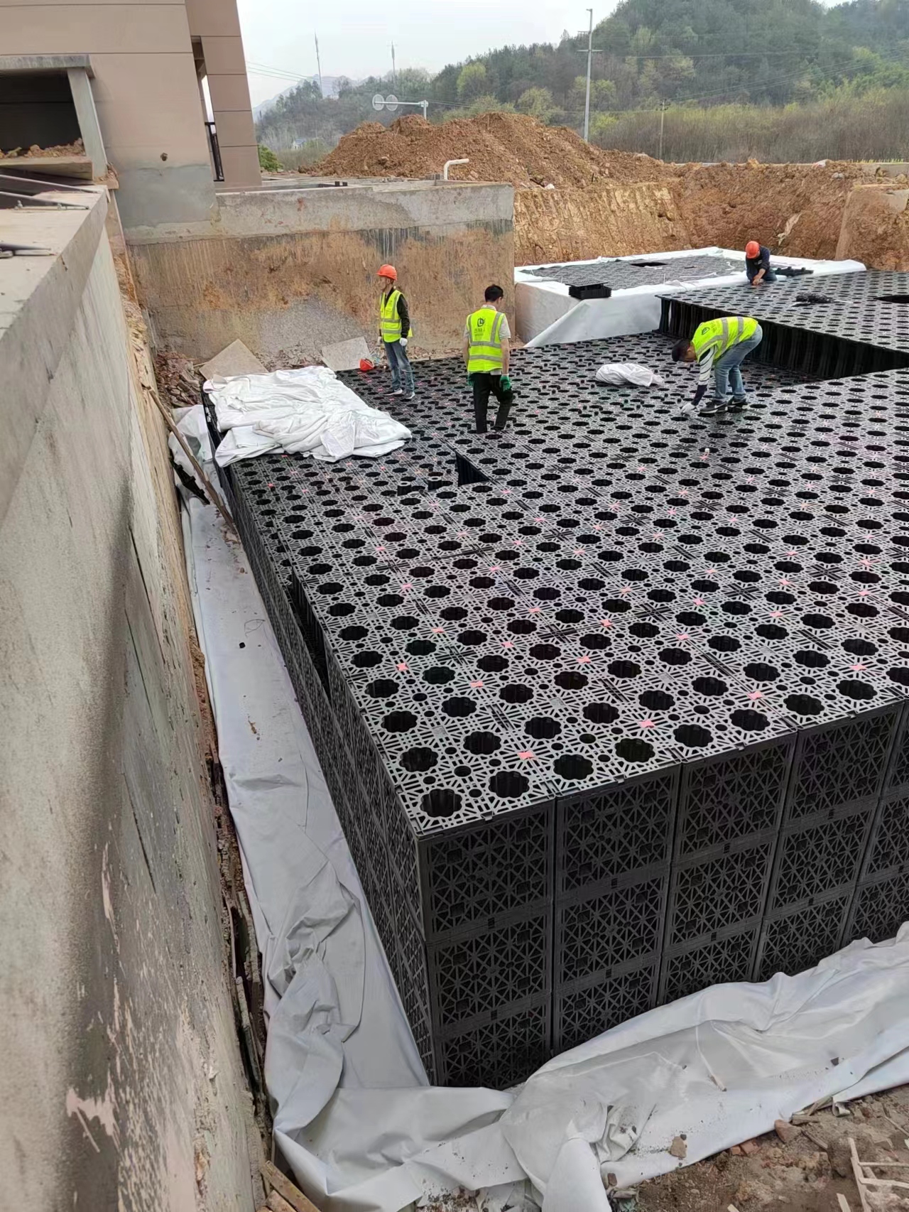 1679379964229931.jpg 5.jpg